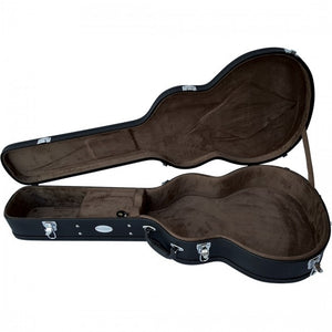 Tanglewood TW2E Winterleaf Acoustic Guitar Case