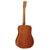 Tanglewood TW40DANE Sundance Historic Acoustic Guitar Dreanought Natural w/ Pickup & Case