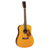 Tanglewood TW40OANE Sundance Historic Acoustic Guitar Orchestra Natural w/ Pickup & Case