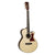 Tanglewood TW45HSRE Heritage Acoustic Guitar Super Folk Natural w/ Pickup & Case