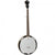 Tanglewood TWB18-M5 Union Banjo