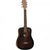 Tanglewood TWCRTE Acoustic Guitar