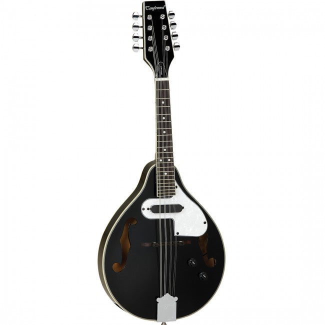 Tanglewood TWMTBKPE Union Mandolin