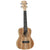 Tanglewood TWT10 Tiare Concert Ukulele All Spalted Maple Ivory White Uke w/ Bag