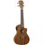 Tanglewood TWT12E Tiare Concert Uke